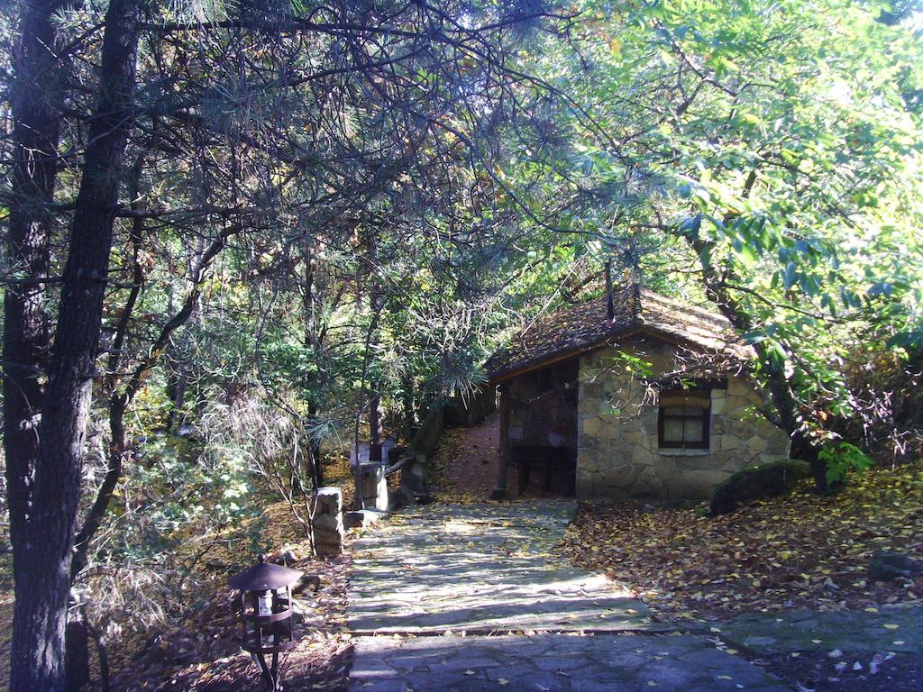 One-Bedroom Cottage with Terrace,232446097:JPEG