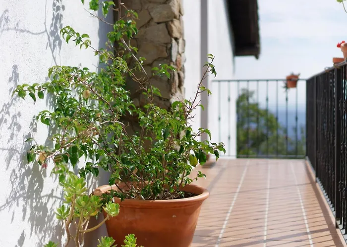 Casas ArbillasCasa Rural